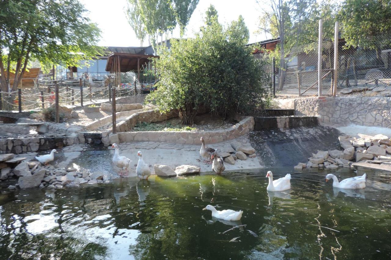 גרגנטיה דל לוסויה Posada Rural Spa Granja La Tejera De Lozoya מראה חיצוני תמונה